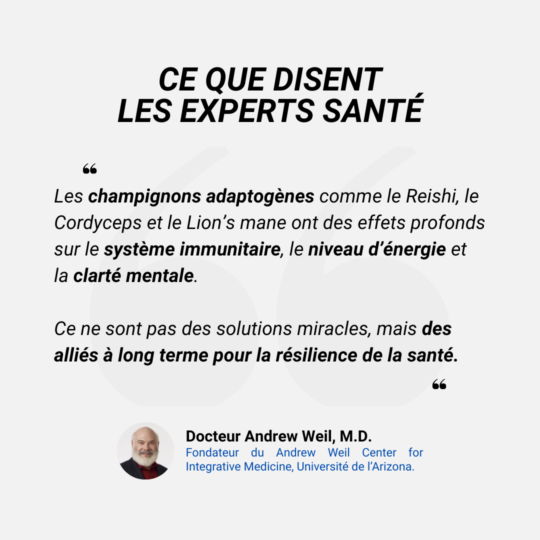 Mushee Mix Adaptogene