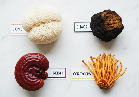 Top 4 des champignons adaptogènes : Lion's Mane, Chaga, Reishi, Cordyceps